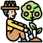 Orchard icon